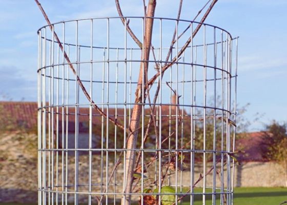 Kỹ thuật hàn tại chỗ lưới dây hàn với chiều rộng tùy chỉnh và bề mặt galvanized điện cho bảo vệ lâu dài