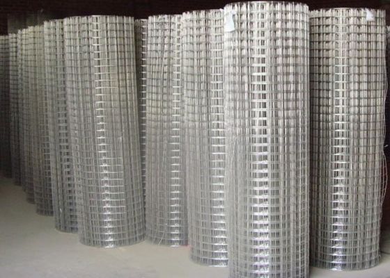 Lưới thép hàn thép không gỉ 15m 20m 30m dùng làm lồng nuôi gia cầm hoặc hàng rào
