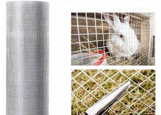 Lưới thép hàn thép không gỉ 15m 20m 30m dùng làm lồng nuôi gia cầm hoặc hàng rào