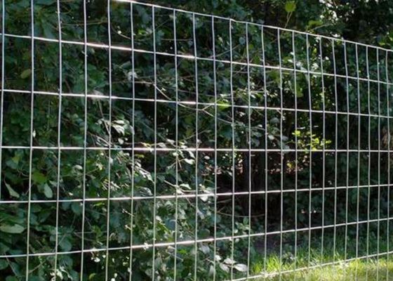 Lưới thép không gỉ hàn cho ứng dụng nông nghiệp