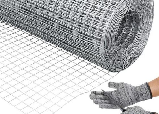 Sợi dây hàn galvanized lưới với sơn bảo vệ nhựa