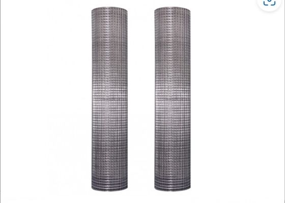 Sợi dây hàn galvanized lưới với sơn bảo vệ nhựa