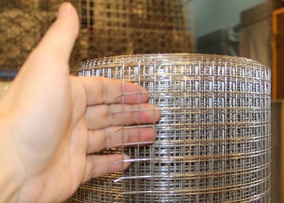Sợi dây hàn galvanized lưới với sơn bảo vệ nhựa
