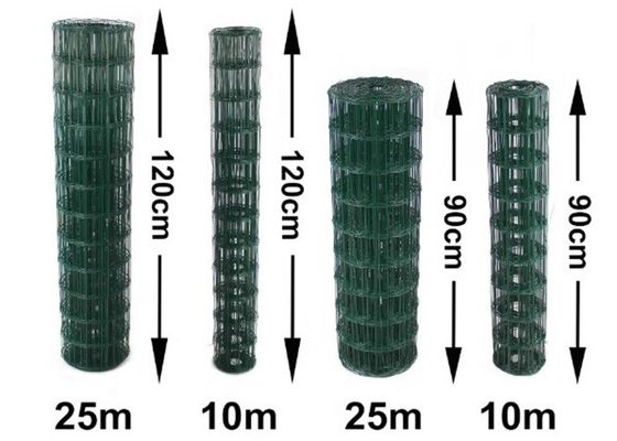 Chống ăn mòn PVC ốp hàn lưới dây với đường kính 0.5mm-6.0mm