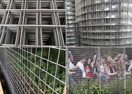 Chống ăn mòn cao Vòng lưới hàn bền Nhiều màu sắc