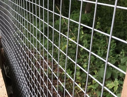 Vòng lưới hàn galvanized đắm nóng bền cho lồng động vật