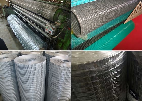 Vòng lưới hàn galvanized đắm nóng bền cho lồng động vật
