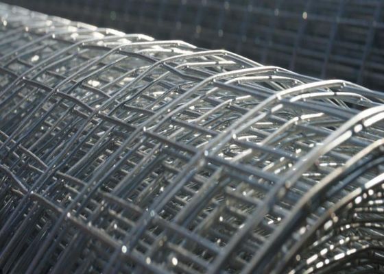 Lưới hàn mạ kẽm nhúng nóng 1mm-3mm Lưới lồng động vật Lưới chống gỉ