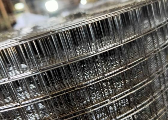 Vòng lưới hàn galvanized xanh để củng cố bê tông
